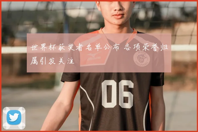 世界杯获奖者名单公布 各项荣誉归属引发关注