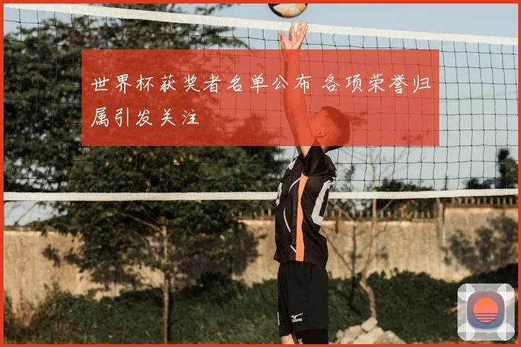 世界杯获奖者名单公布 各项荣誉归属引发关注
