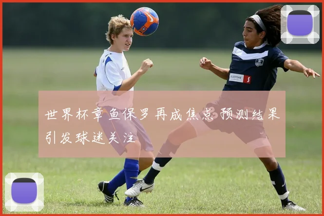 世界杯章鱼保罗再成焦点 预测结果引发球迷关注