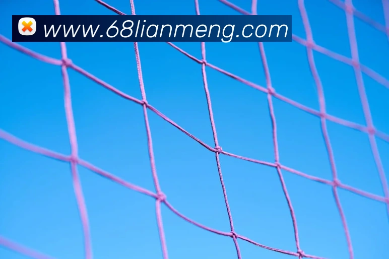 开云手机入口官网品牌故事